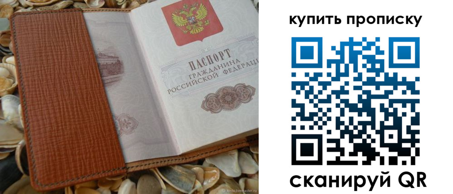 найти адрес прописки в Гатчине
